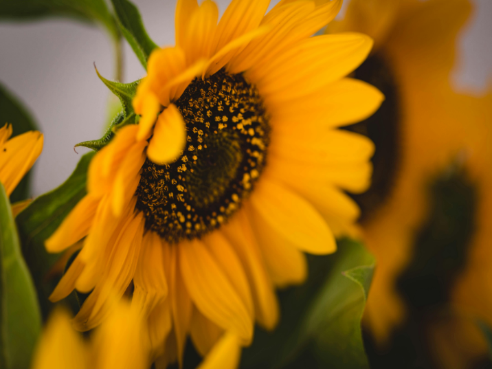 1 SI TE PIDIERA QUE NOMBRARAS